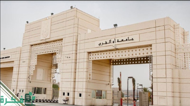 تفاصيل التقديم علي وظائف جامعة أم القري 1446 حسب الشروط المطلوبة للتسجيل