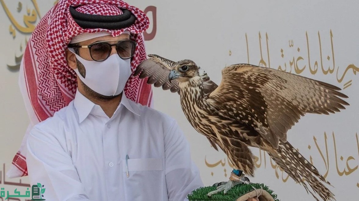 بدء فعاليات معرض الصقور والصيد السعودي الدولي 2024.. تجربة فريدة لعشاق التراث والطبيعة