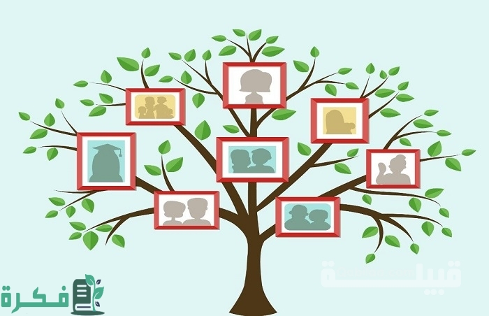 معرفة شجرة العائلة بالاسم forebears