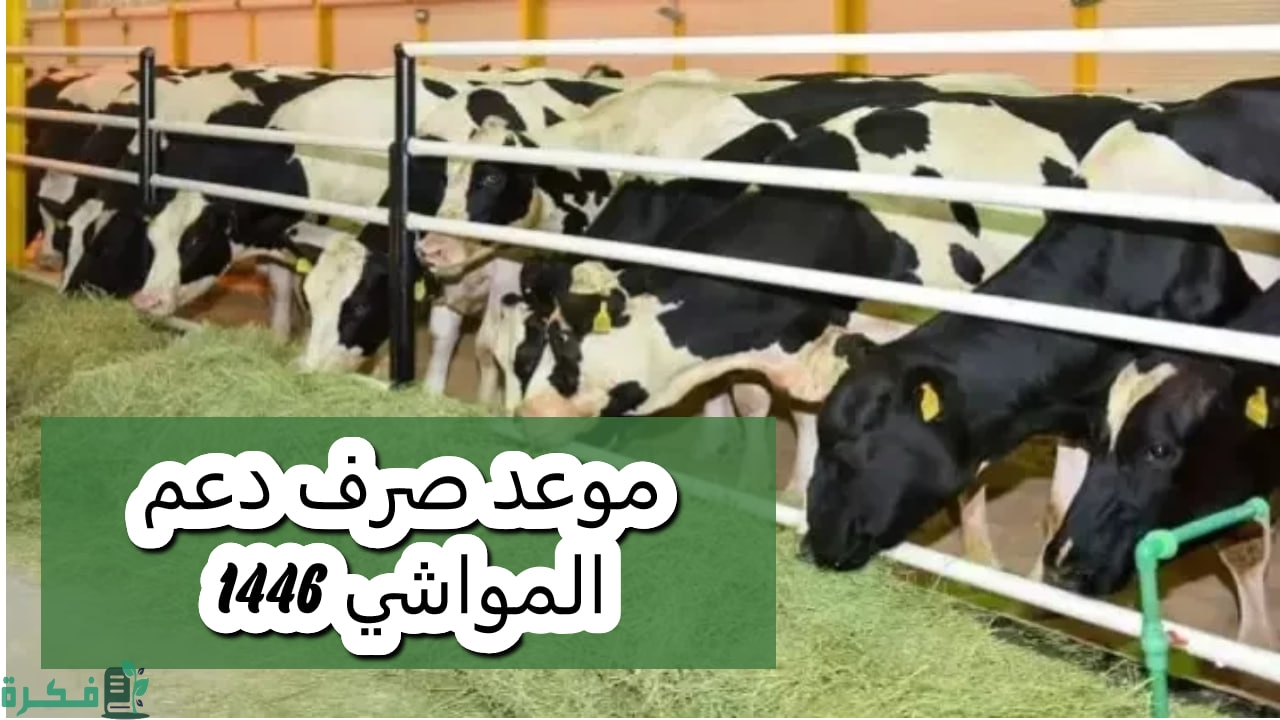 وزارة البيئة والمياه والزراعة تعلن | إيداع دعم المواشي للدفعة الجديدة 2024 بهذا الموعد