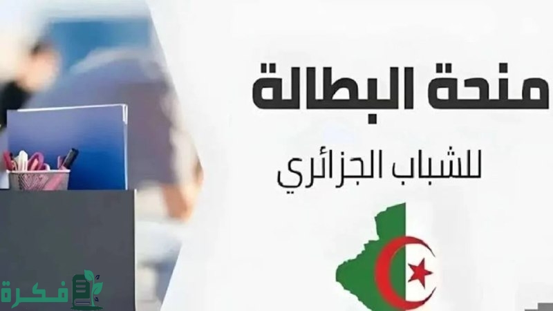 جددها من هاتفك.. رابط تجديد منحة البطالة في الجزائر 2025 عبر الوكالة الوطنية للتشغيل www.anem.dz |بالخطوات