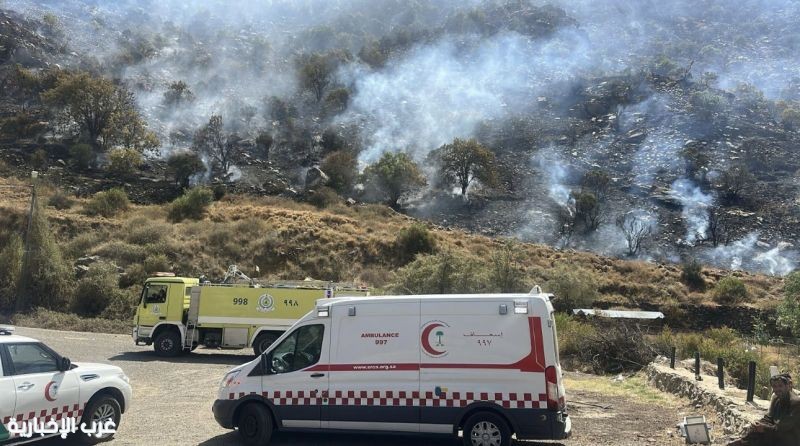 الدفاع المدني السعودي يحقق إنجازًا في إخماد حريق هائل بجبل الطائف 4 الدفاع المدني السعودي يحقق إنجازًا في إخماد حريق هائل بجبل الطائف