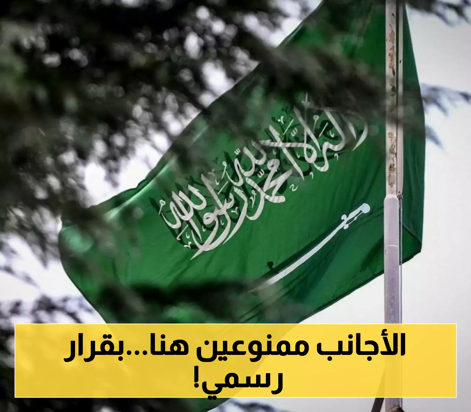 السعودية تكشف عن المناطق المحظورة على الأجانب بعد إقرار نظام تملك العقارات