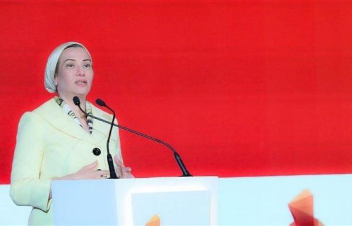 ياسمين فؤاد تكشف عن أسباب استقالتها من وزارة البيئة في خطوة مفاجئة