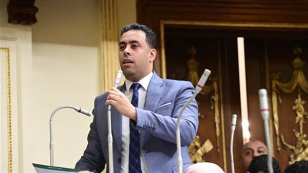 أحمد فرغلي يتحدث لـ إيجبتك بعد لقاء رئيس «البرلمان »بالمعارضة