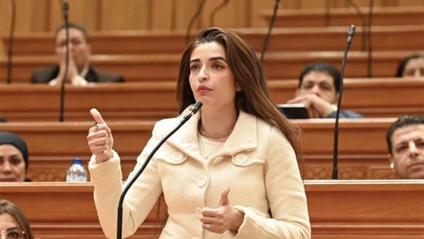 إيرين سعيد: كسر حظر التصوير في اللجان وعرض القضايا الرقابية أمام الشعب|خاص