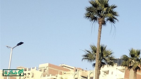 الأرصاد: طقس مائل للدفء نهارا وبارد ليلا الجمعة 27 مارس 2026