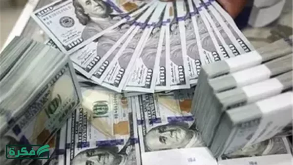 الدولار يواصل صعوده أمام الجنيه ويسجل 53.90 جنيه بداية التعاملات
