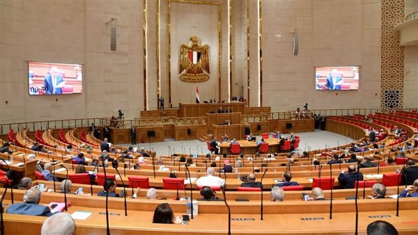 جلسات مرتقبة لـ«النواب» لمناقشة اتفاقيات دولية ودعم الاقتصاد
