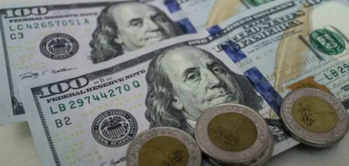 سعر الدولار مقابل الجنيه المصري بمستهل تعاملات اليوم الأربعاء 25 مارس 2026 – الأسبوع – My Blog