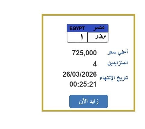سعرها وصل 725 ألف جنيه.. مزايدة نارية على لوحة سيارة مميزة – الأسبوع – My Blog