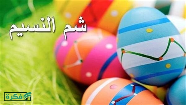 شم النسيم 2026 في مصر: أسعار الفسيخ والرنجة وأماكن الشراء المضمونة