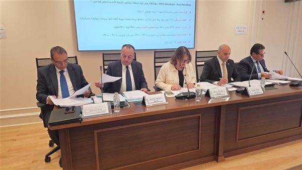 «طاقة النواب» توافق على 5 مشروعات قوانين للبحث عن البترول والغاز