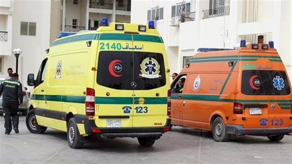 وفاة اثنين من العاملين بالسكة الحديد أثناء فحص عطل بالقرب من بني سويف