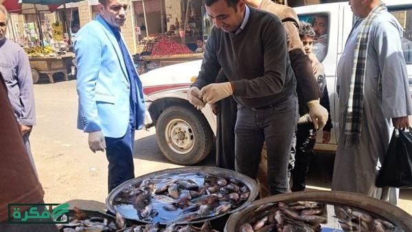 أسعار الأسماك الطازجة والمجمدة والمملحة فى محافظة البحيرة