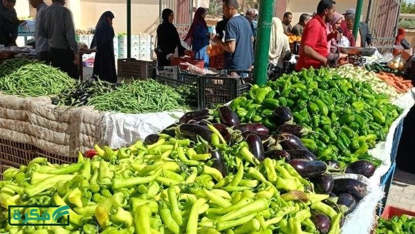 أسعار الطماطم تتراجع.. تقلبات في أسعار الخضروات في الأسواق اليوم 5 أبريل