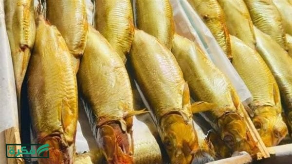أسعار الفسيخ والرنجة والأسماك المملحة في أسواق الغربية اليوم