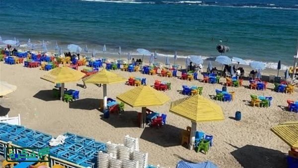 ارتفاع تدريجي في درجات الحرارة.. طقس الإسكندرية اليوم الثلاثاء 14إبريل