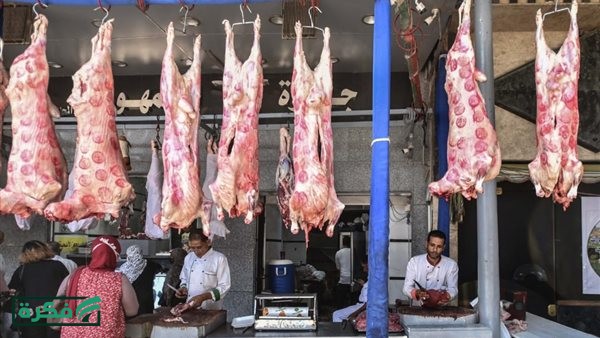 البتلو بـ 420 أسعار اللحوم بأنواعها اليوم في المنيا الأحد 5 أبريل