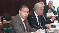 «الرقابة المالية» تعتزم مراجعة الضوابط المنظمة لقطاع التمويل العقاري