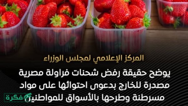 الفراولة زي الفل.. الحكومة توضح حقيقية رفض شحنات مسرطنة مصدرة للخارج وطرحها للمواطنين