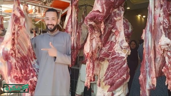 الكندوز بـ 350 جنيهاً .. استقرار أسعار اللحوم اليوم بالمنيا