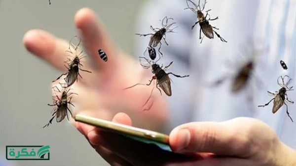 بعد انتشاره في القاهرة والجيزة.. كيف تتخلص من الذباب نهائيا؟