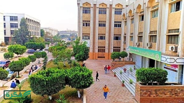 تربية الأزهر تطلق خدمة تحديث بيانات الخريجين.. تعرف عليها