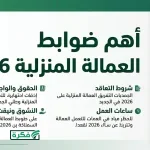حظر عمل المصريات في المهن المنزلية والمقاهي بالخارج وعقوبات رادعة للشركات المخالفة
