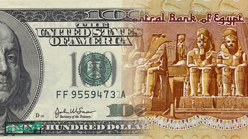 رسميًا الآن.. سعر الدولار مقابل الجنيه بعد قرار البنك المركزي