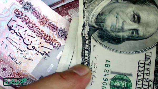سعر الدولار اليوم بعد تراجعه 260 قرشا في البنوك
