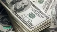سعر الدولار في البنوك المصرية اليوم الثلاثاء 31 مارس 2026
