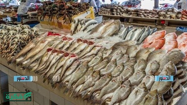 سعر المأكولات البحرية والأسماك بأسواق أسيوط اليوم الثلاثاء 14 إبريل 2026