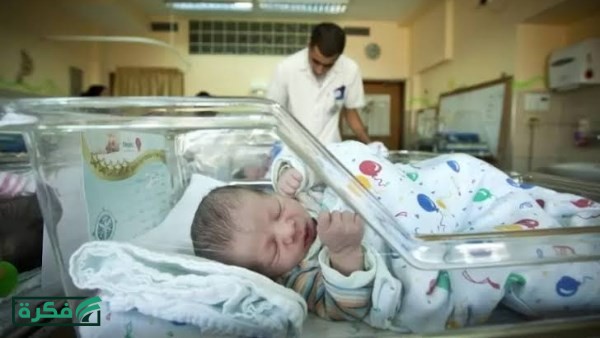 من يحق له تسجيل المواليد الجدد والإبلاغ عن الوفاة؟.. احذر الحبس والغرامة في هذه الحالات