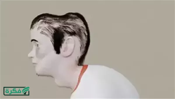 نموذج يظهر كيف سيبدو اللاعبون المتحمسون بعد 20 عاما