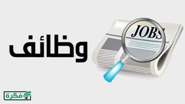 وظائف للشباب..9430 فرصة عمل في شركات خاصة