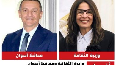 برنامج ثقافي جديد في أسوان لمواجهة حرارة الصيف بالكتب والفن برعاية وزيرة الثقافة ومحافظ أسوان
