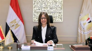 جيهان زكي تستعرض إنجازات 100 يوم وتطرح خطة مبتكرة لدمج الثقافة في حياة المصريين